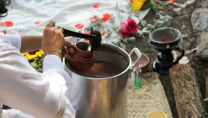 Ayahuasca: Şamanların İlaçla Dolu Dünyasına Dalış ve Yasal Durumu