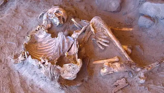 Yeni Mumya Keşfi: İnsanlık Tarihinin Soy Ağacı Yeniden Şekilleniyor