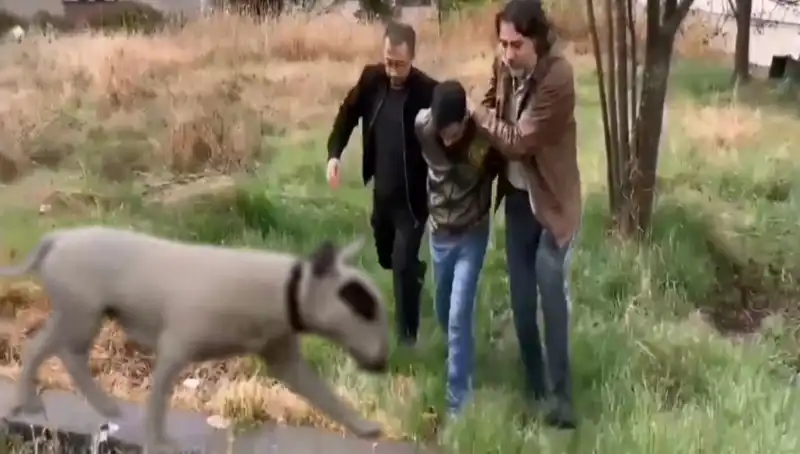 430 Bin Liralık Şampiyon Köpeği Çalan Hırsız Tutuklandı!
