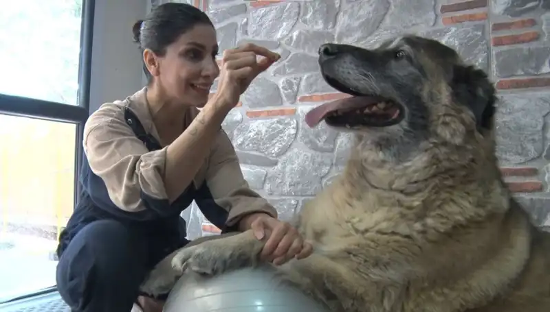 Duman’ın Zayıflama Mücadelesi: 55 Kiloluk Obeziteye Son Verecek Mi?
