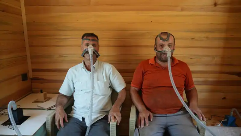Modern Tıbbın Gözdesi: Alerji ve Astıma Doğal Şifreler