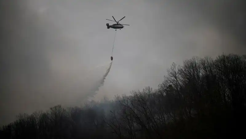Güney Kore'de Yangın Söndürme Helikopteri Düştü: Korkunç Kaza Sonucu 1 Ölü