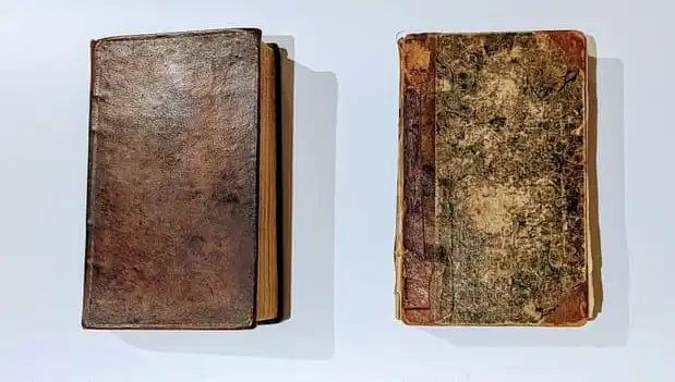 200 Yıllık Gizem: Katilin Derisiyle Yapılan Kitap Müze Raflarında!
